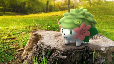shaymin|shaymin pokemon go.